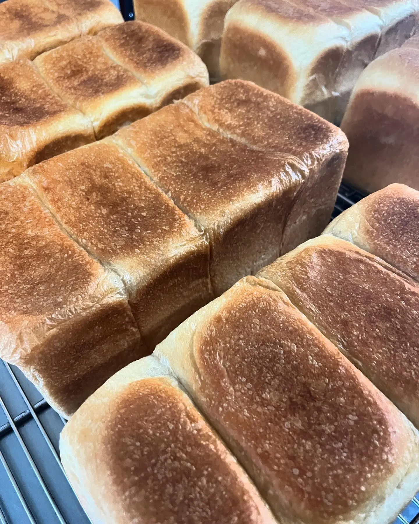 焼きたての食パン🍞🤤